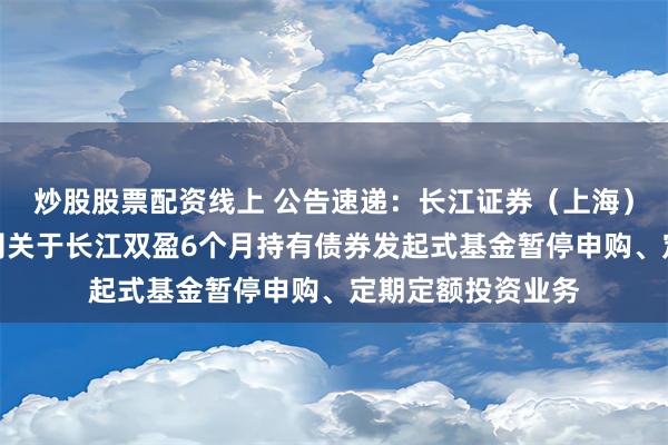 炒股股票配资线上 公告速递：长江证券（上海）资产管理有限公司关于长江双盈6个月持有债券发起式基金暂停申购、定期定额投资业务