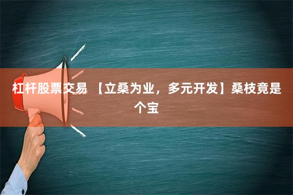 杠杆股票交易 【立桑为业，多元开发】桑枝竟是个宝