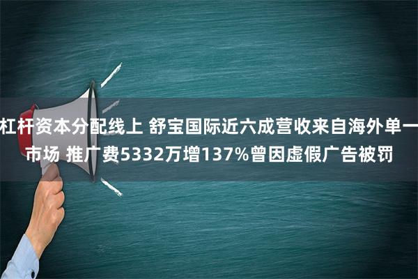 杠杆资本分配线上 舒宝国际近六成营收来自海外单一市场 推广费5332万增137%曾因虚假广告被罚