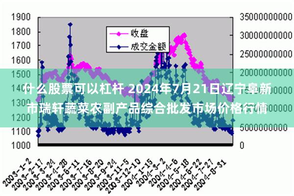 什么股票可以杠杆 2024年7月21日辽宁阜新市瑞轩蔬菜农副产品综合批发市场价格行情