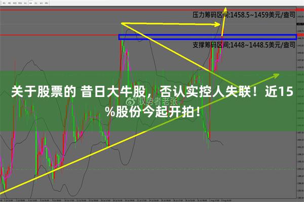 关于股票的 昔日大牛股，否认实控人失联！近15%股份今起开拍！