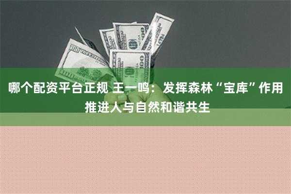 哪个配资平台正规 王一鸣：发挥森林“宝库”作用 推进人与自然和谐共生