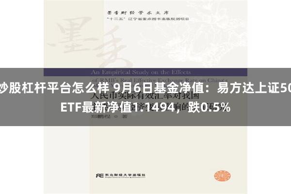 炒股杠杆平台怎么样 9月6日基金净值：易方达上证50ETF最新净值1.1494，跌0.5%