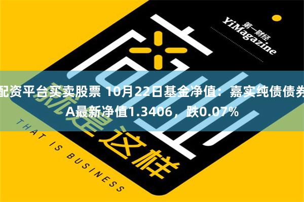 配资平台买卖股票 10月22日基金净值：嘉实纯债债券A最新净值1.3406，跌0.07%