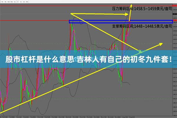 股市杠杆是什么意思 吉林人有自己的初冬九件套！