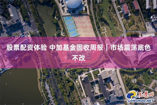 股票配资体验 中加基金固收周报︱市场震荡底色不改