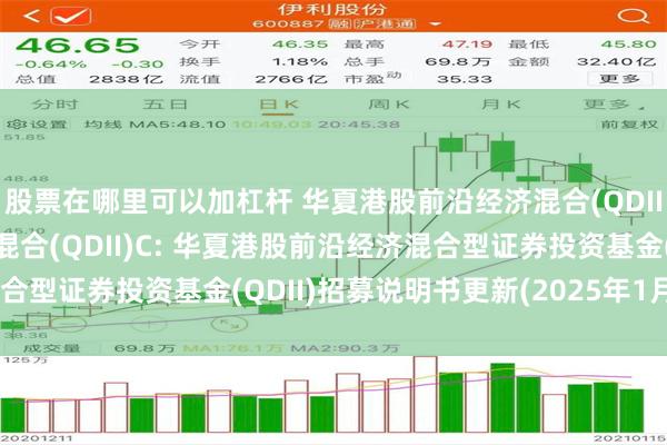 股票在哪里可以加杠杆 华夏港股前沿经济混合(QDII)A,华夏港股前沿经济混合(QDII)C: 华夏港股前沿经济混合型证券投资基金(QDII)招募说明书更新(2025年1月27日公告)