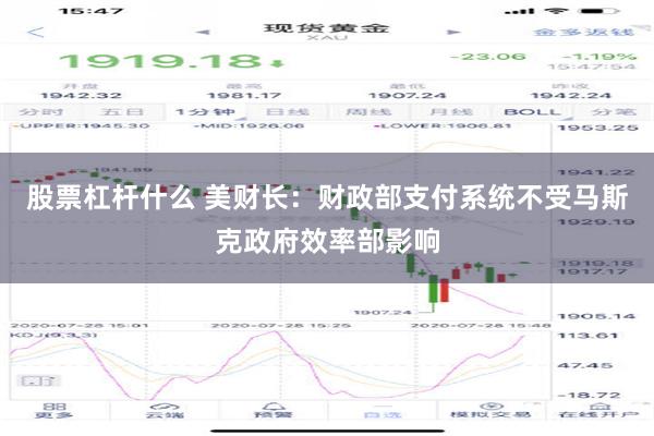 股票杠杆什么 美财长：财政部支付系统不受马斯克政府效率部影响