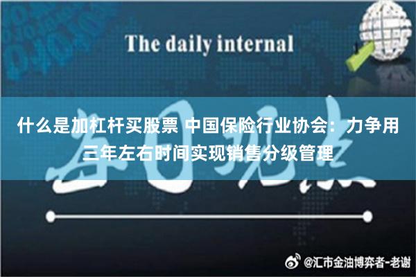 什么是加杠杆买股票 中国保险行业协会：力争用三年左右时间实现销售分级管理